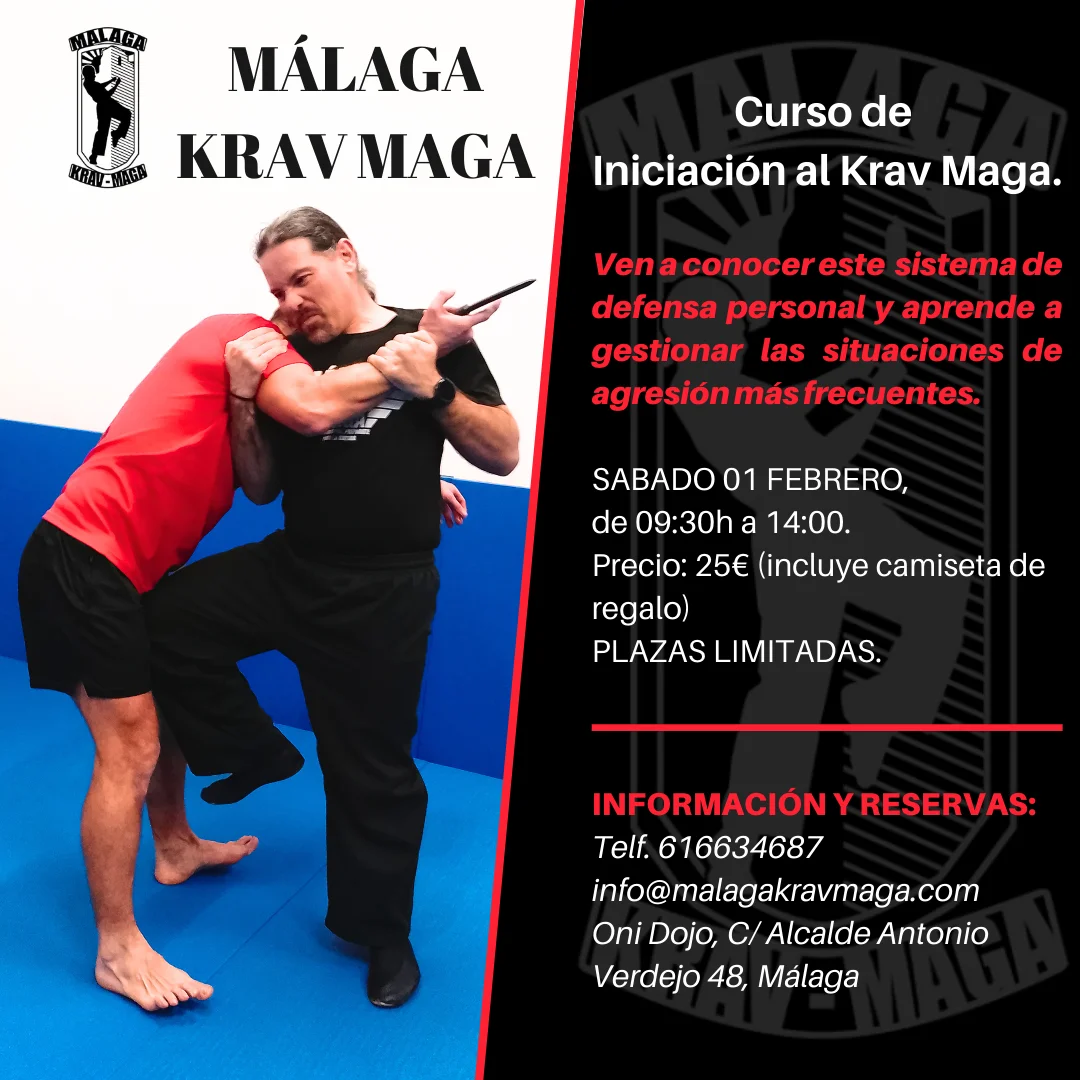 Curso de Iniciación Málaga Krav Maga